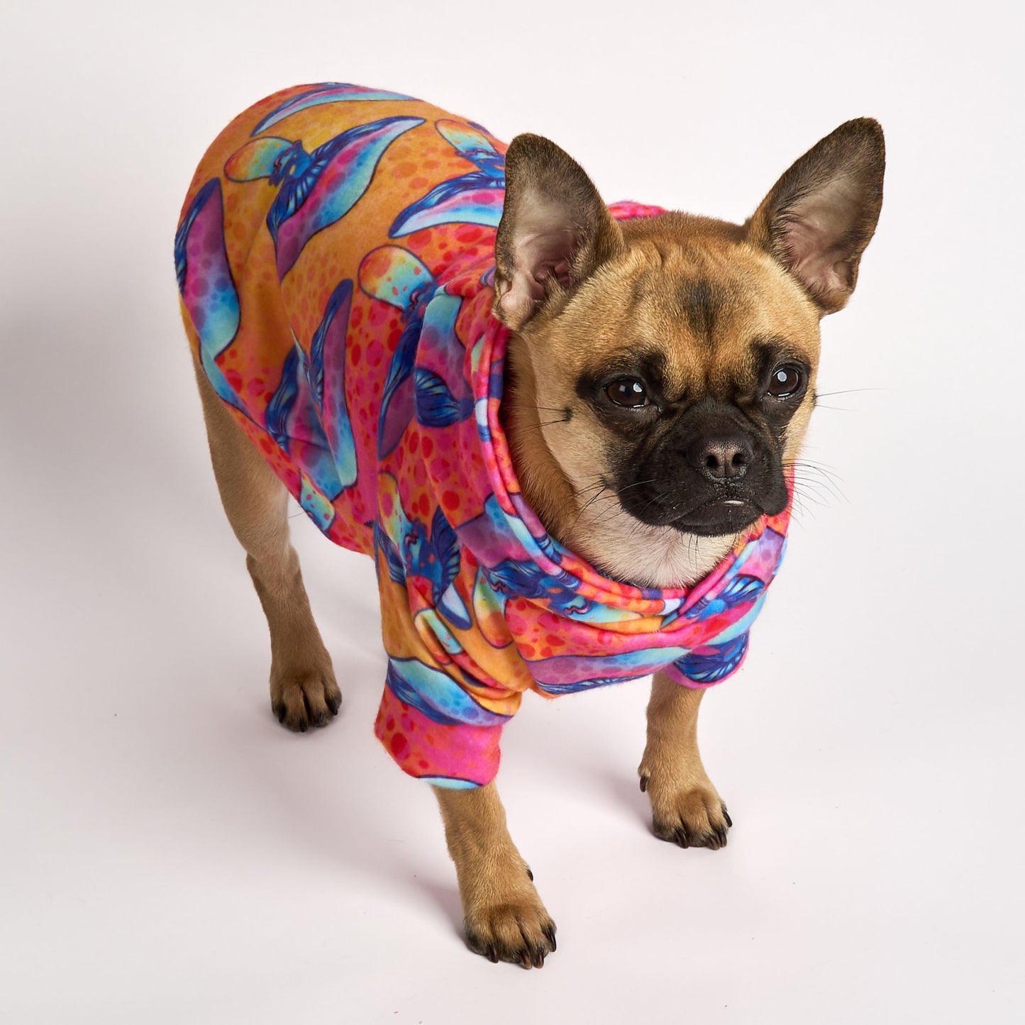 Dog Fleece Hoodie - Mushy