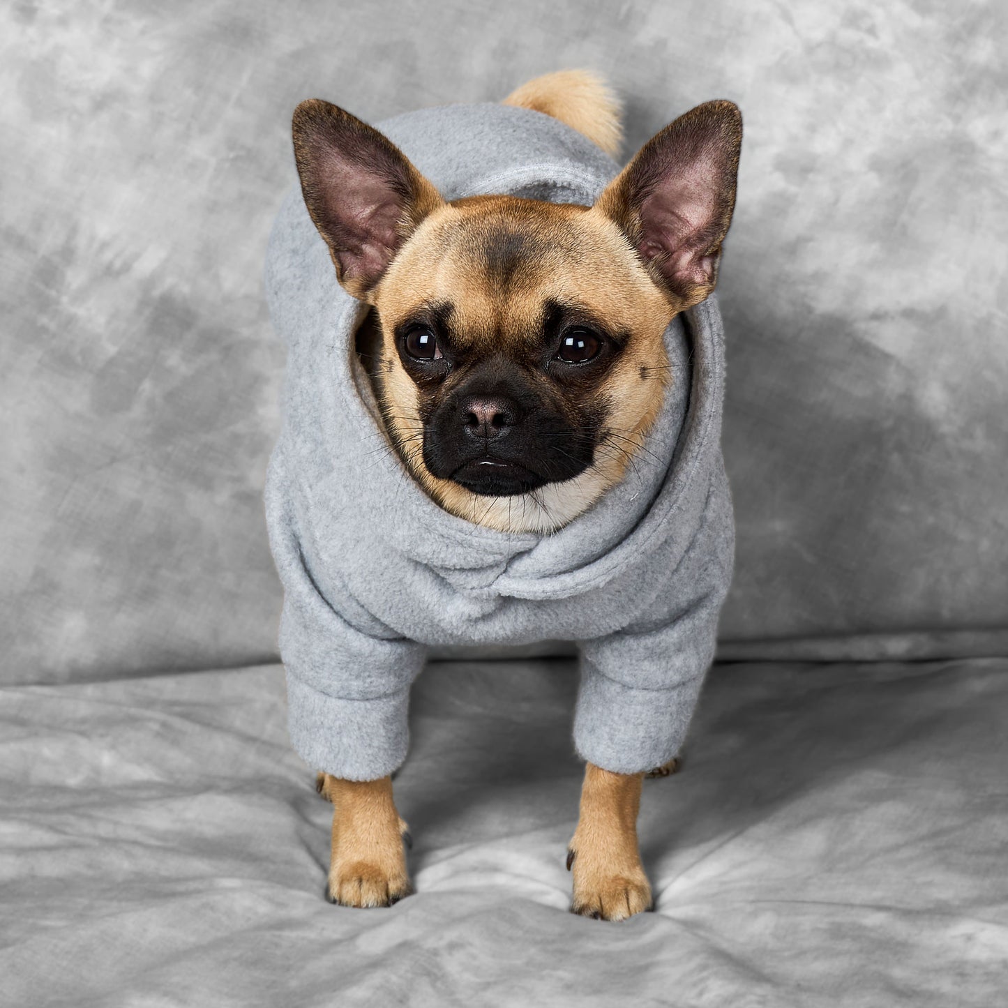 Dog Fleece Hoodie - Grey