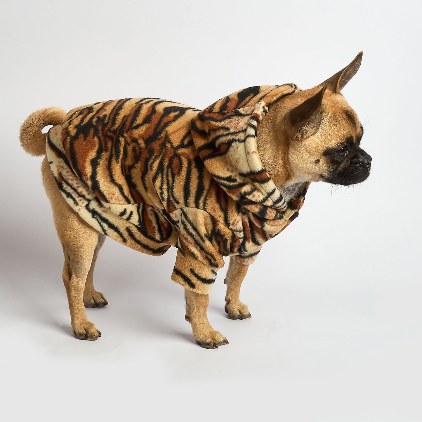 Dog Fleece Hoodie - TIGRRR!