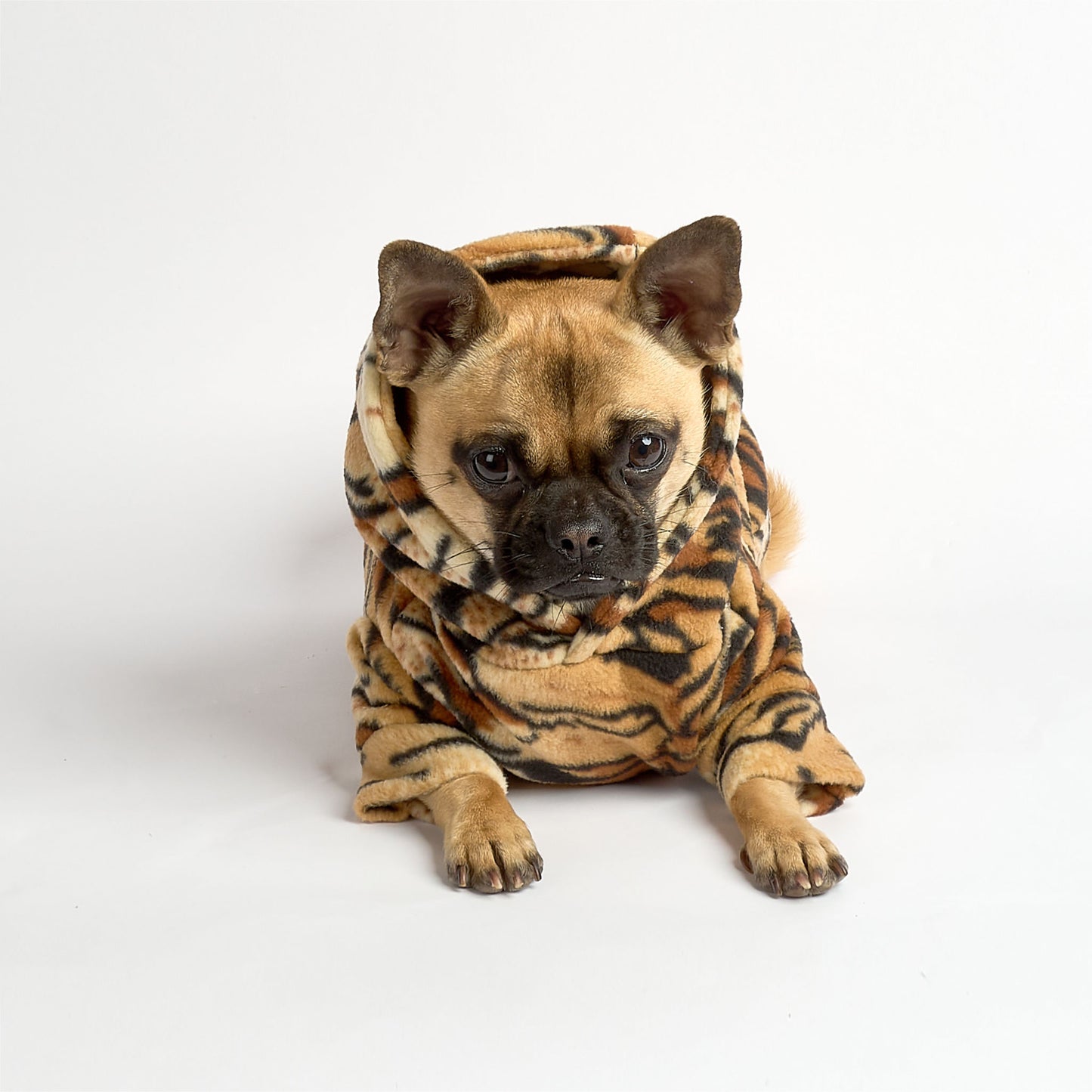 Dog Fleece Hoodie - TIGRRR!