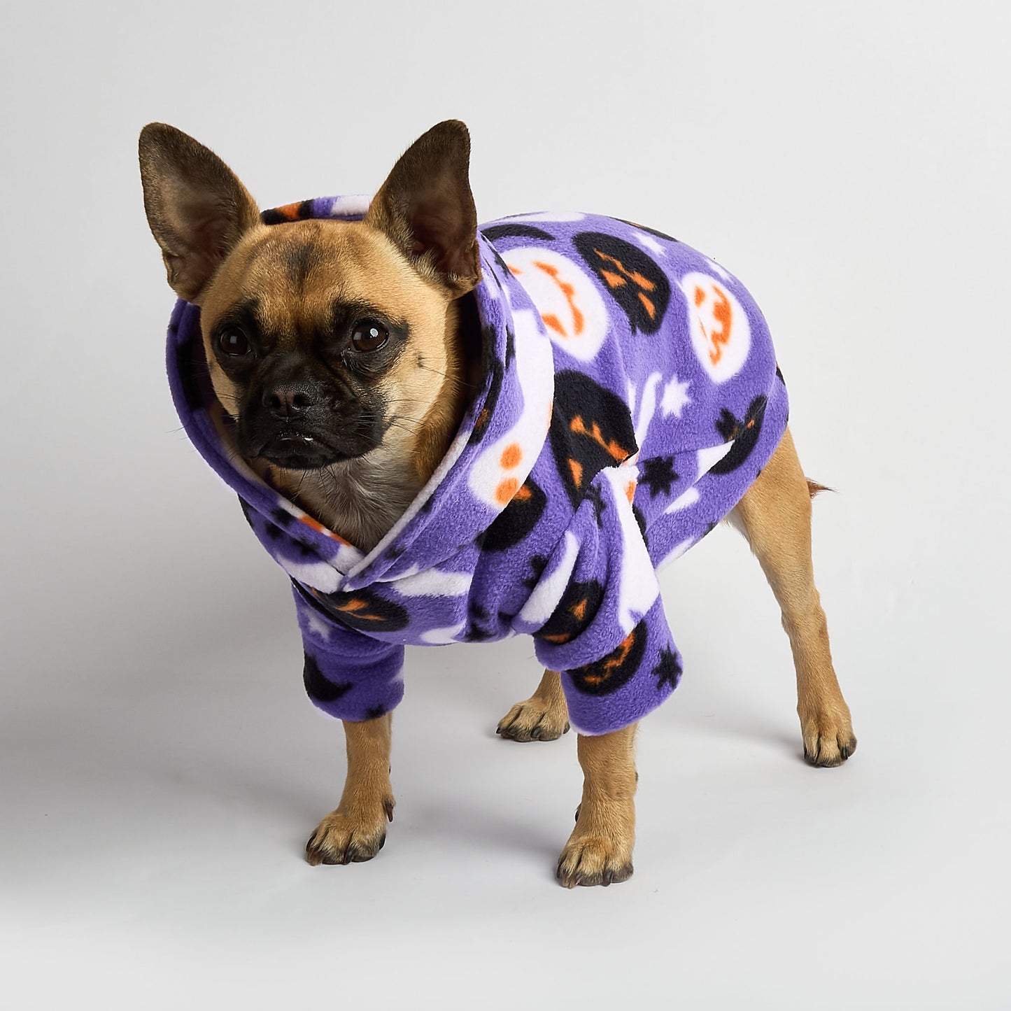 Dog Fleece Hoodie - Treats Only