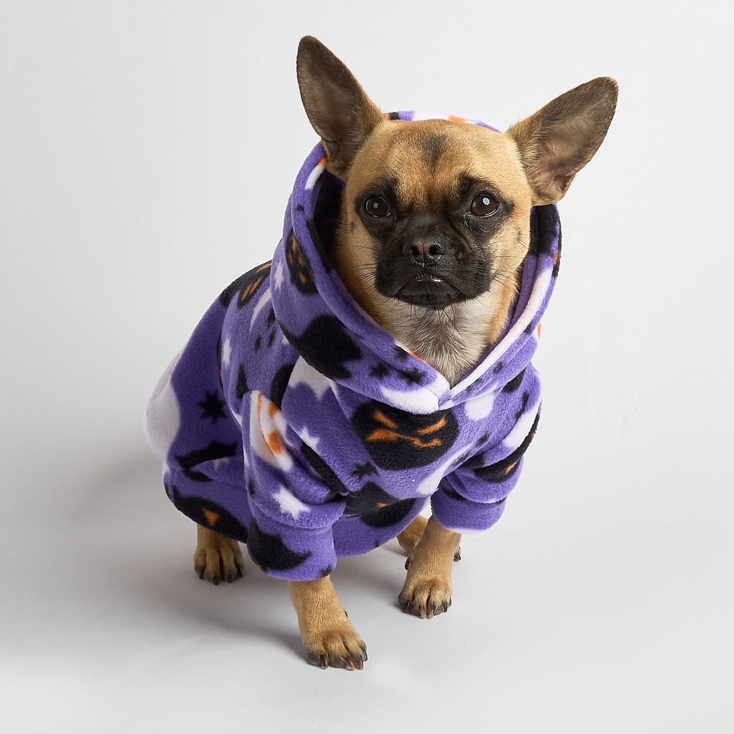 Dog Fleece Hoodie - Treats Only