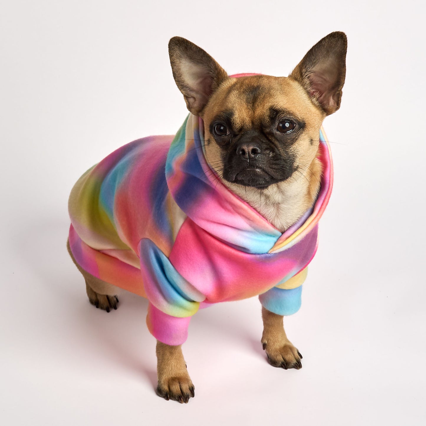 Dog Fleece Hoodie - Tie-Dye For