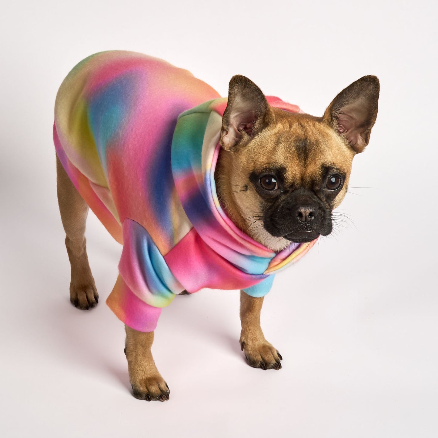 Dog Fleece Hoodie - Tie-Dye For