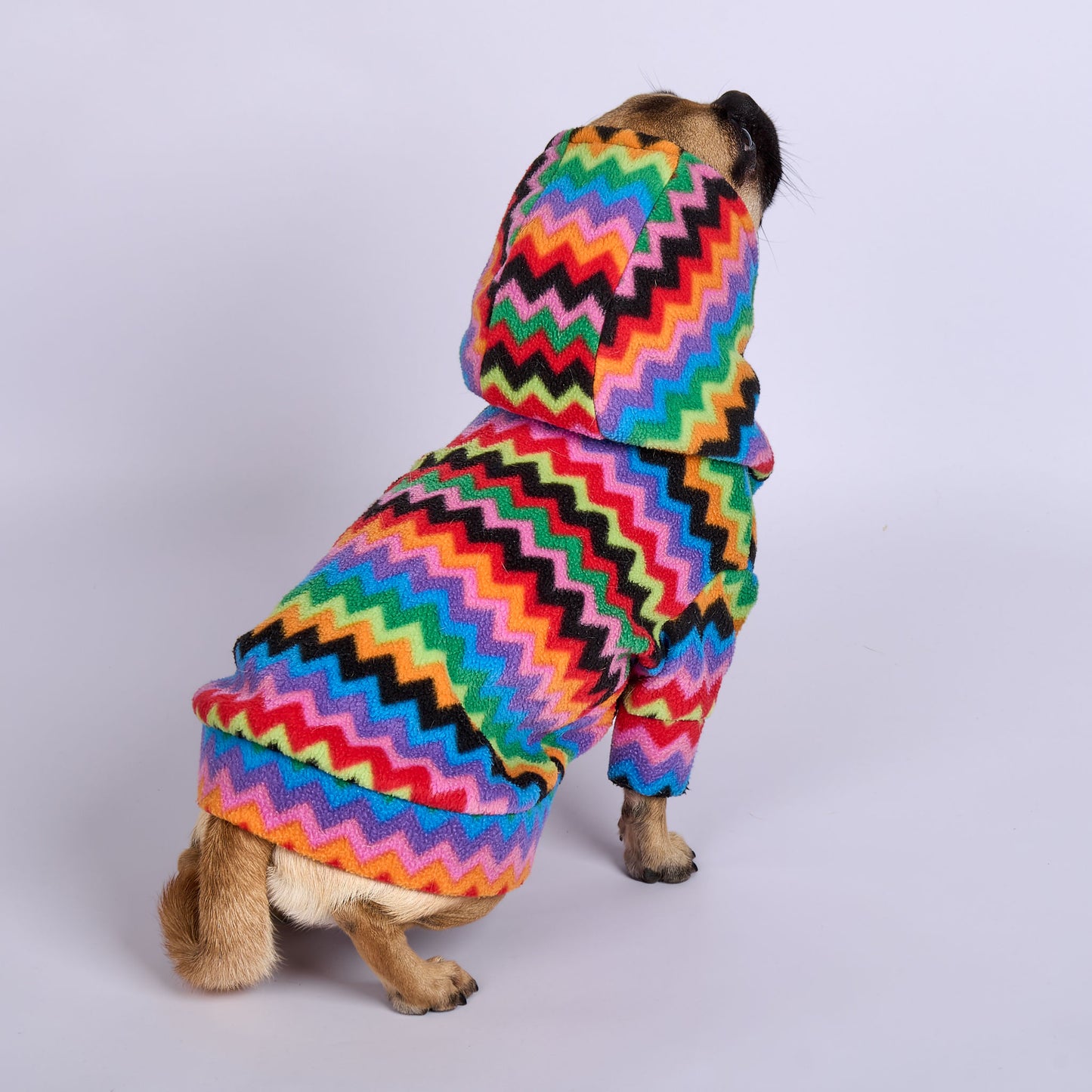 Poochy Pocket Hoodie Zig Zag 2.0